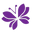 SOFTY logo